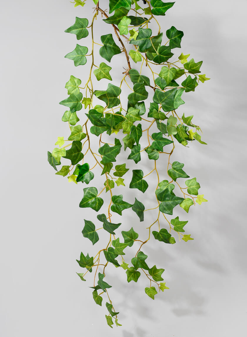 41in Long Ivy Hanging, Case of 12 Decor Jamali Garden