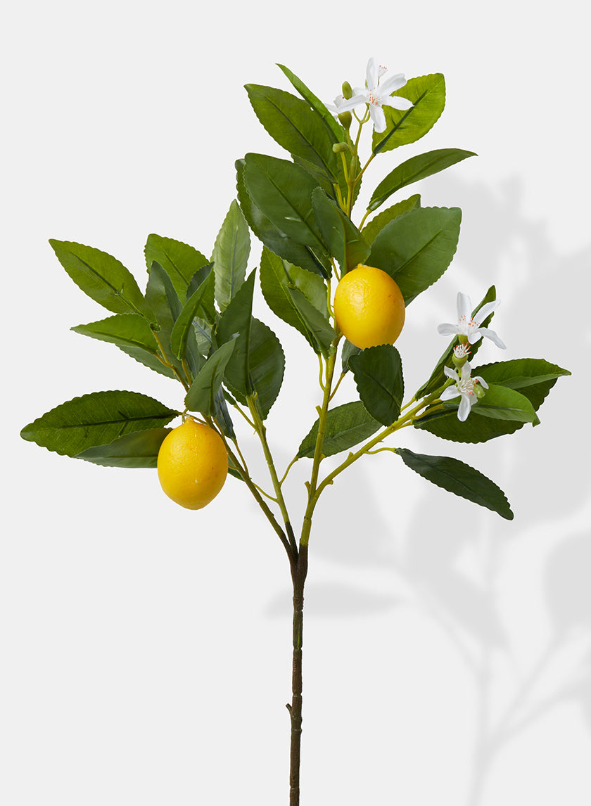 23in Long Baby Lemon Tree Pick, Case of 12 Decor Jamali Garden
