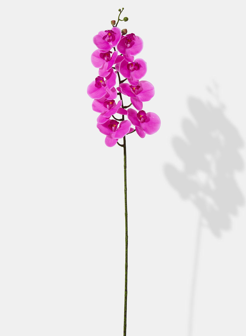 38in Long Pink Phalaenopsis Orchid Decor Jamali Garden