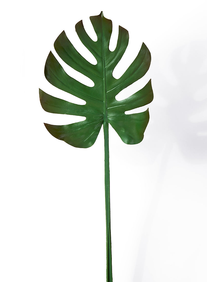 29in Long Turtle Leaf Spray, Case of 12 Decor Jamali Garden