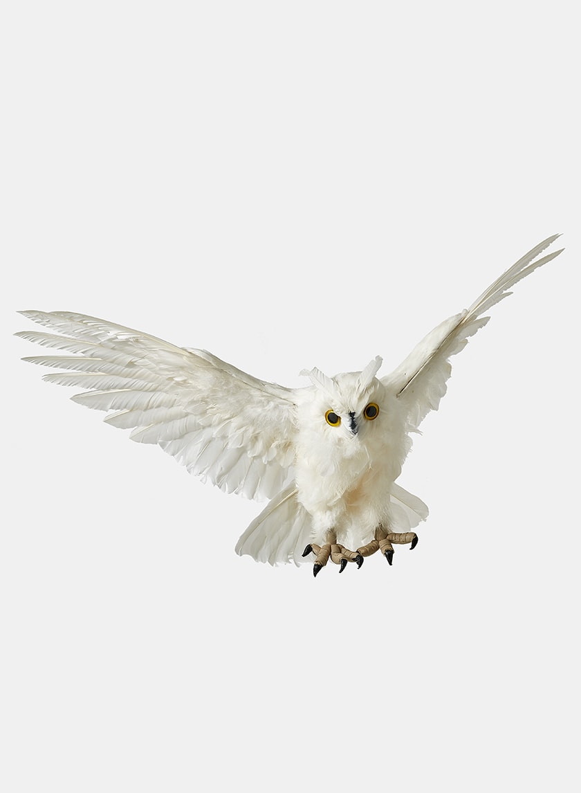 18in Long Flying White Owl Decor Jamali Garden