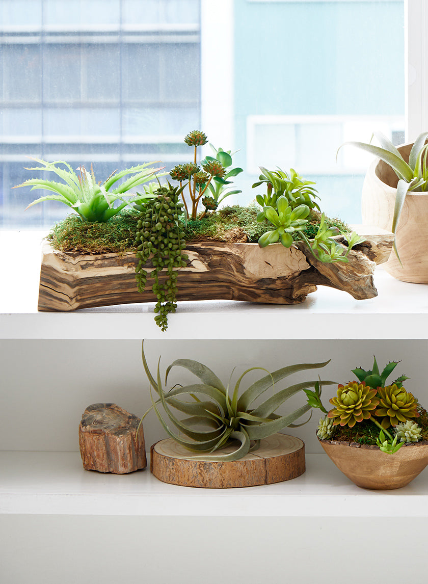 12in Long Frosted Tillandsia Decor Jamali Garden