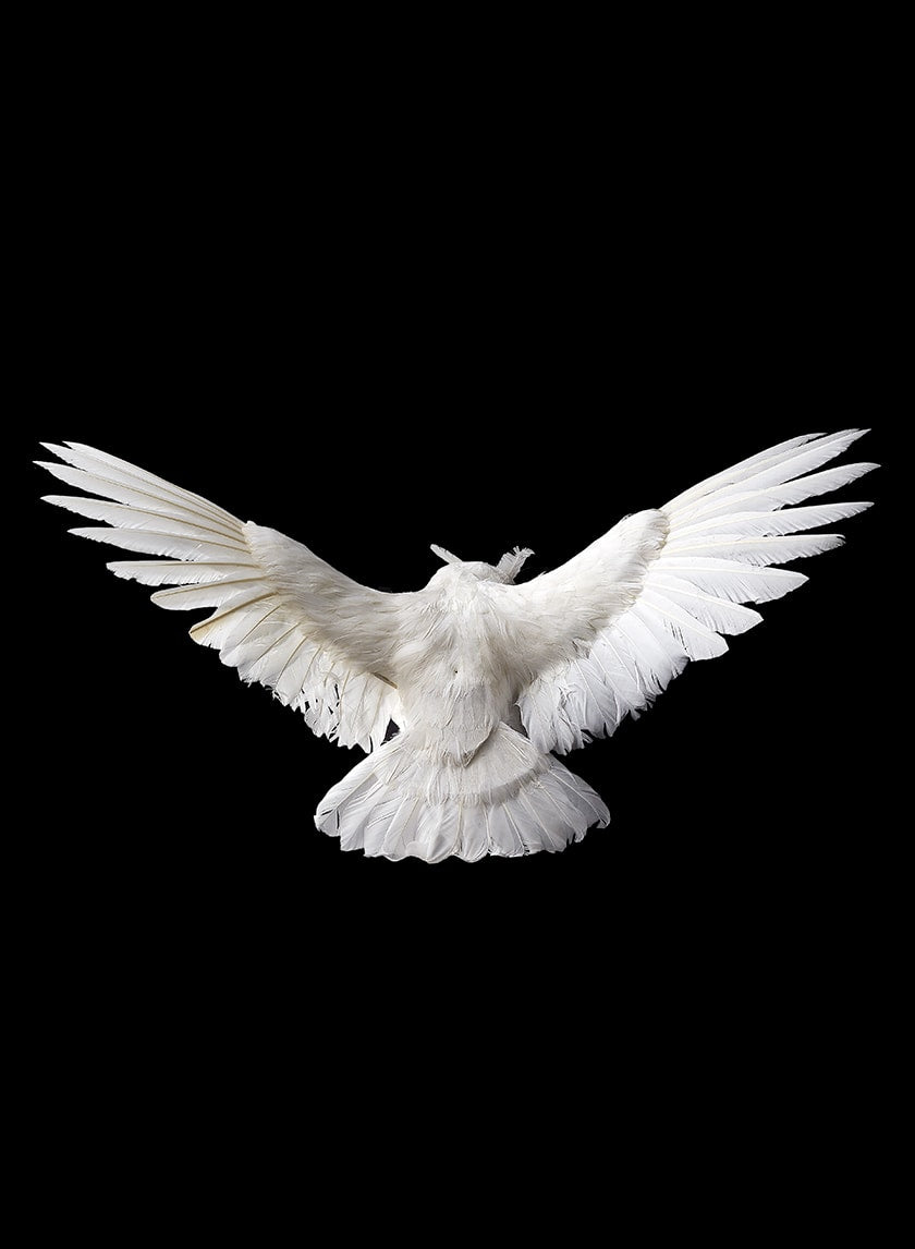 28in Flying White Owl Decor Jamali Garden