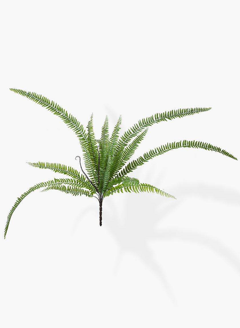 37in Long Giant Boston Fern Pick Decor Jamali Garden