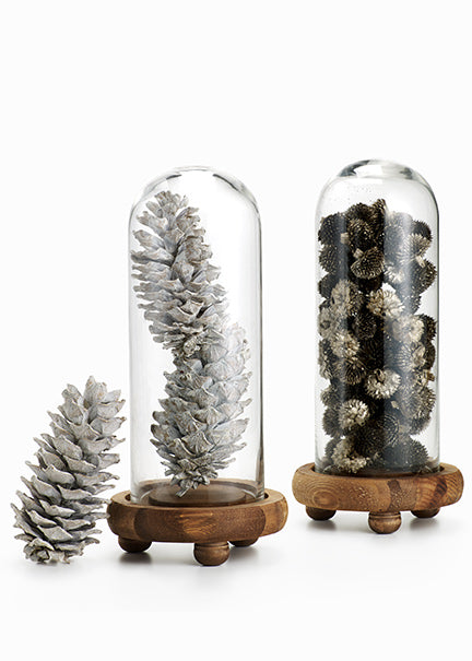 5in / 5.5in Long White-Washed Pinecones, Case of 3 Decor Jamali Garden