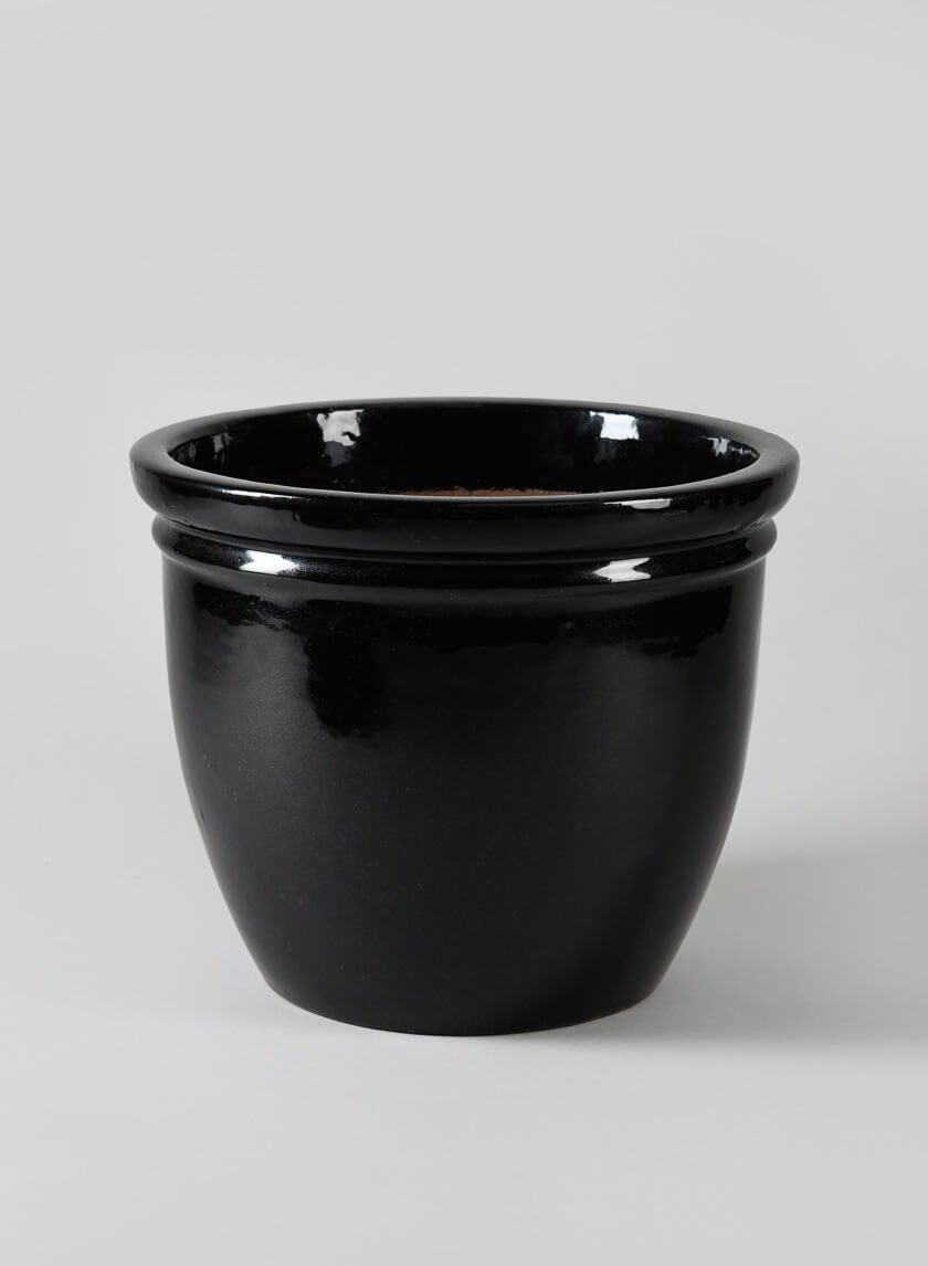 Glossy Black Double Rolled Rim Pots Decor Jamali Garden
