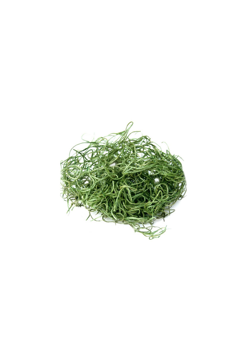 Super Moss Grass Green Preserved Spanish Moss Decor Jamali Garden