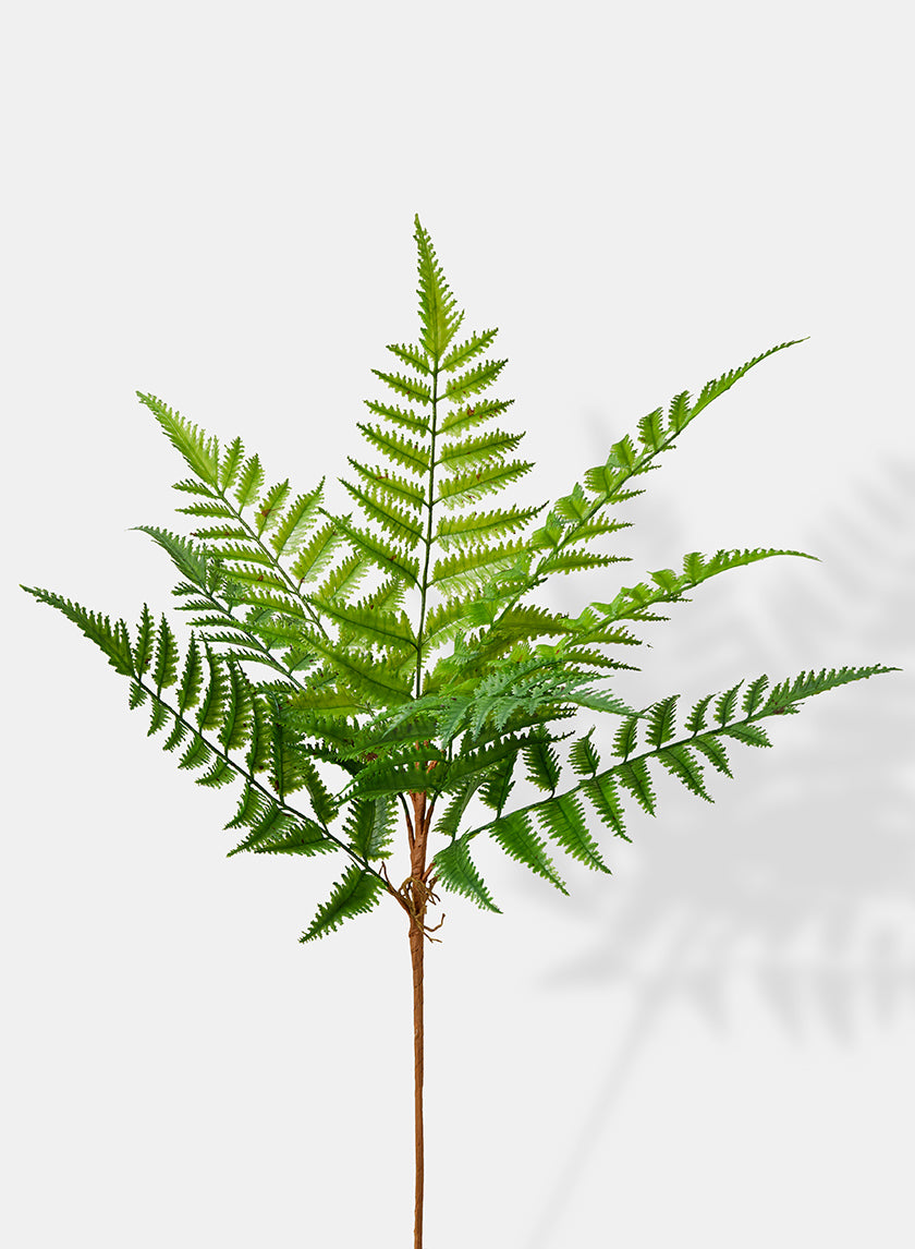 24in Long Fern Bush, Case of 12 Decor Jamali Garden