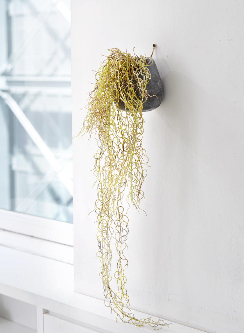 36in Tall Flocked Spanish Moss In Wall Pot Decor Jamali Garden