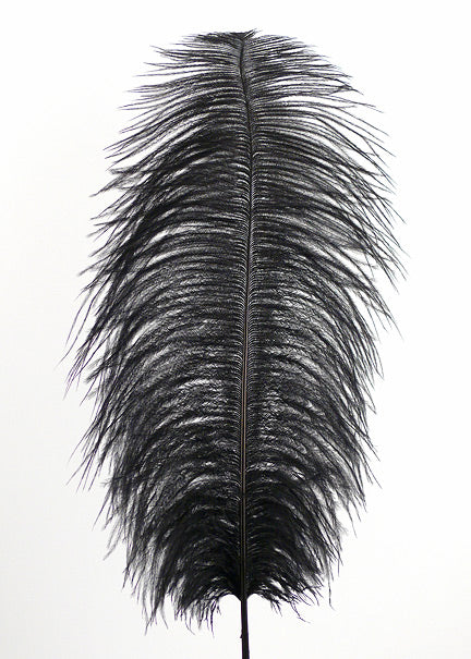 18 - 20in Black Ostrich Feather Decor Jamali Garden