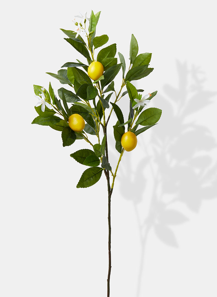 30in Long Lemon Tree Branch Decor Jamali Garden