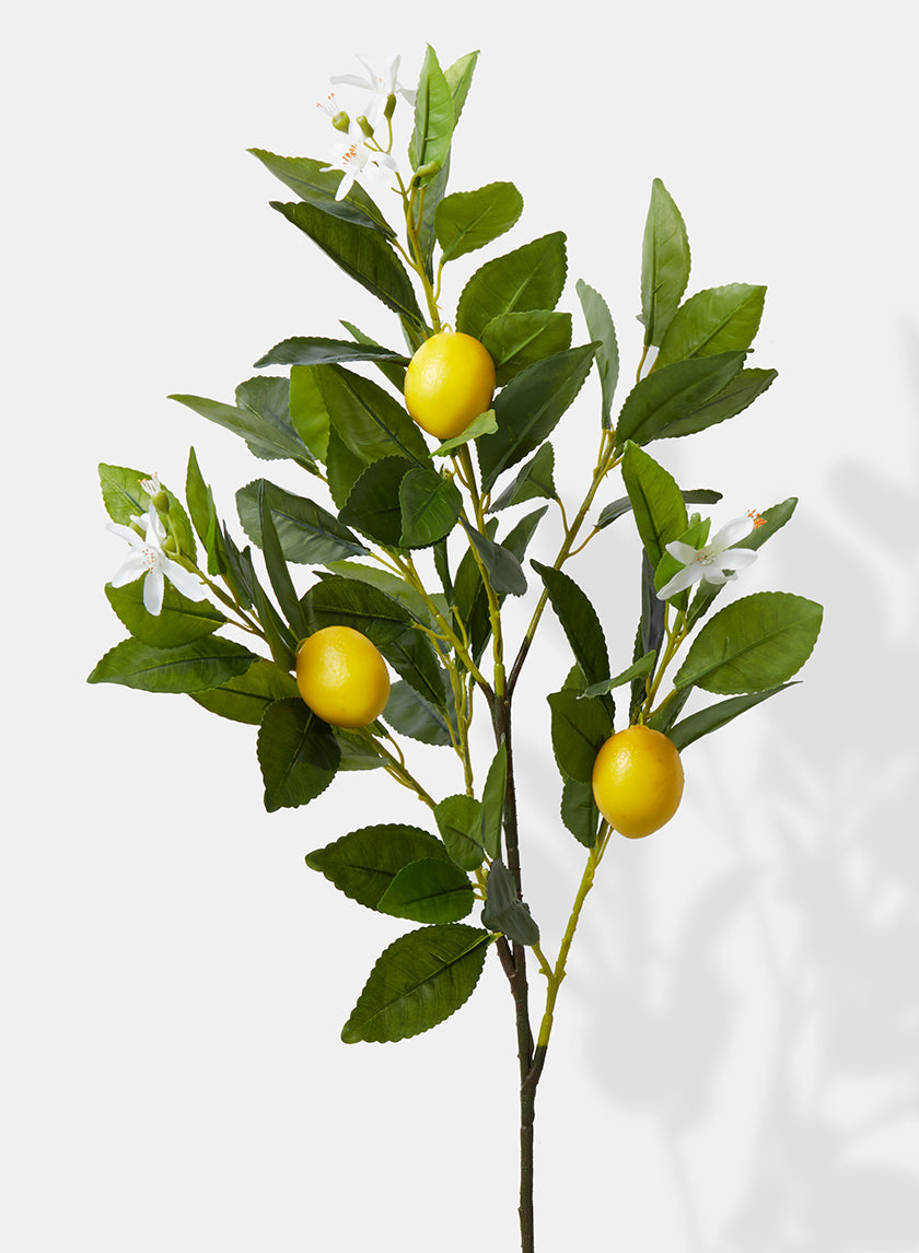 30in Long Lemon Tree Branch Decor Jamali Garden