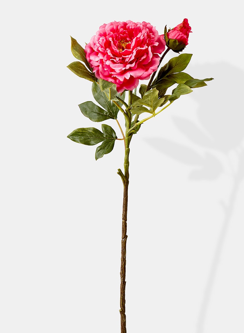 30in Long Pink Luo Yang Peony, Case of 12 Decor Jamali Garden