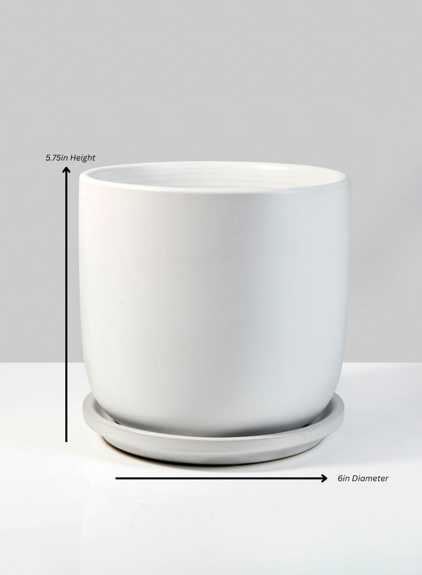 Marble Aeon Ceramic Pot & Saucer Decor Jamali Garden White 5.75in Height - 6in Diameter EACH