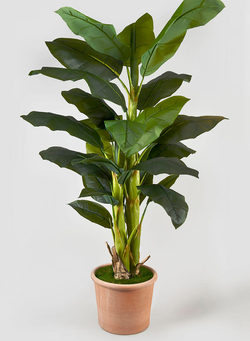 65in Tall Banana Tree Decor Jamali Garden