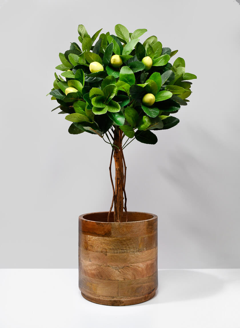 Salma Wood Cachepot Decor Jamali Garden 8.5in Tall EACH