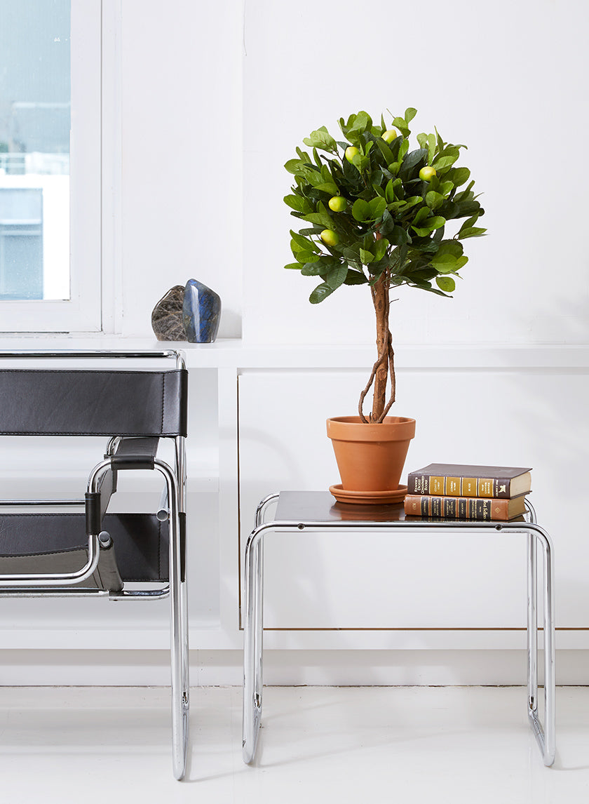 28in Long Lemon Tree Topiary Decor Jamali Garden