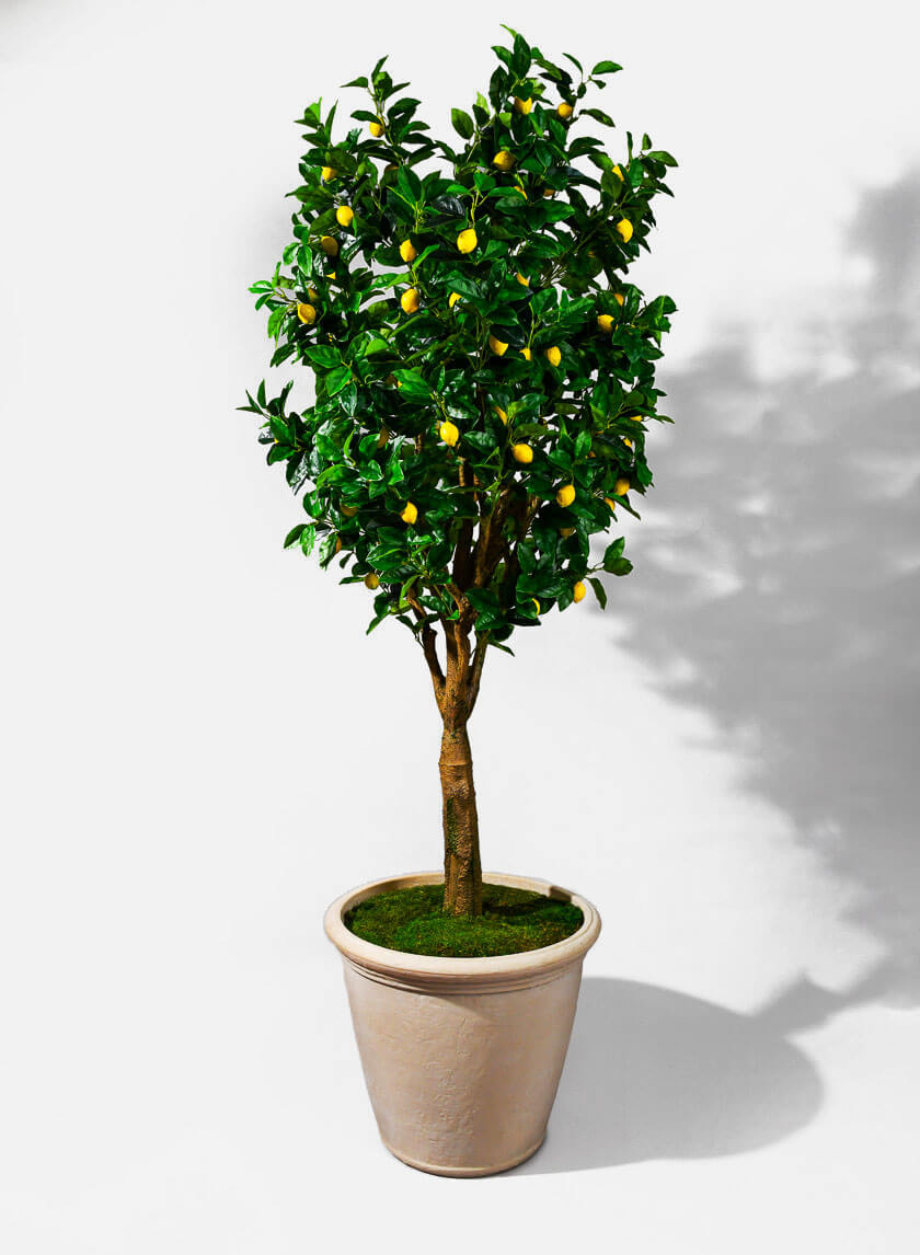 16in Tall Antique White Stone Kiri Planter Decor Jamali Garden