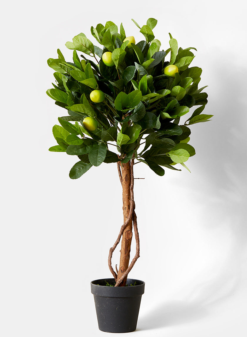 28in Long Lemon Tree Topiary Decor Jamali Garden