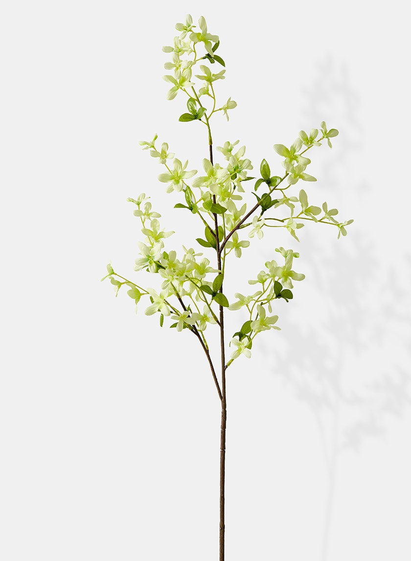 40in Long Pale Green Forsythia Spray, Case of 12 Decor Jamali Garden