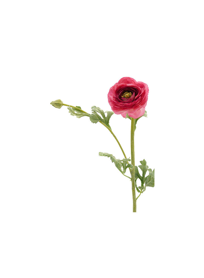 27in Long Light Red Ranunculus, Case of 12 Decor Jamali Garden