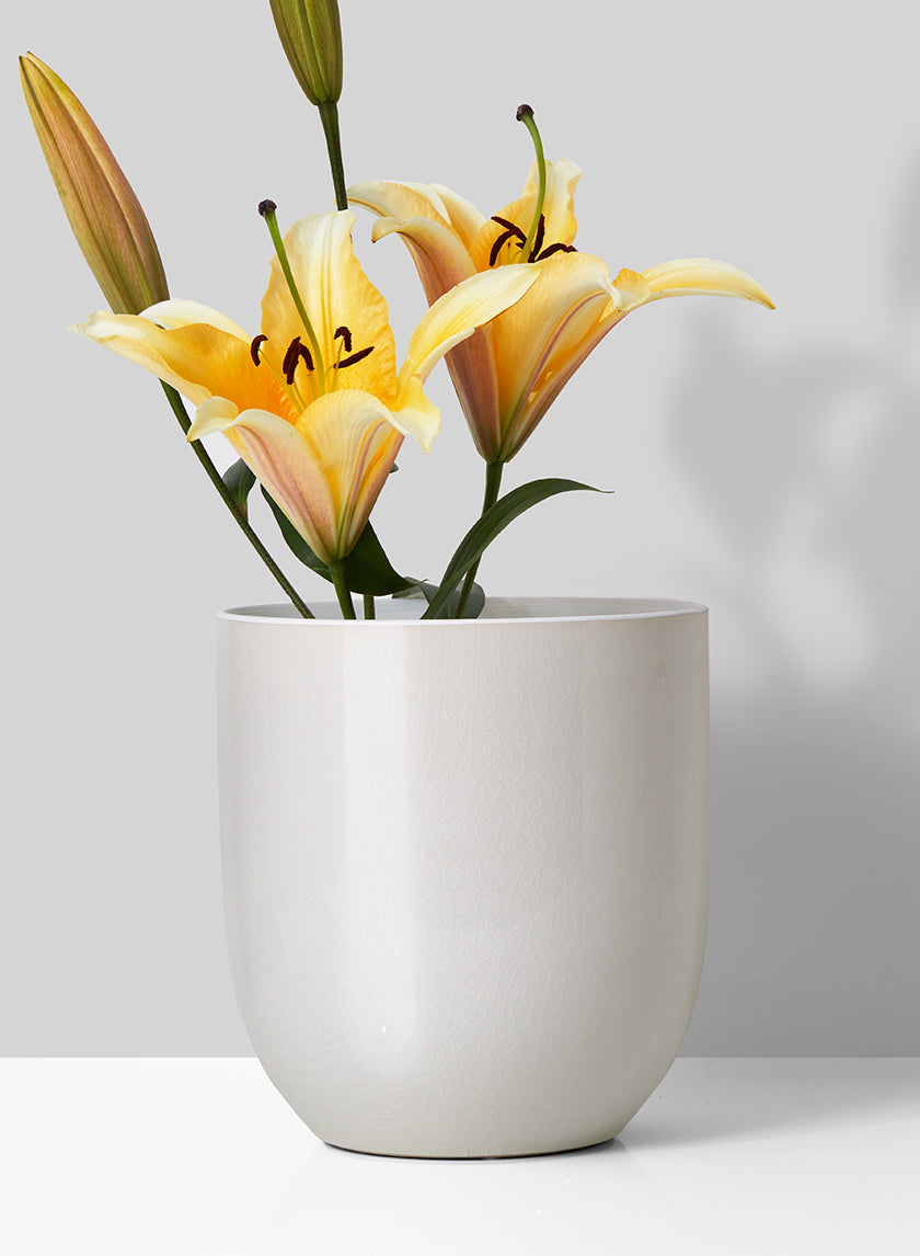 9in Tall Crackled White Ceramic Vase Decor Jamali Garden