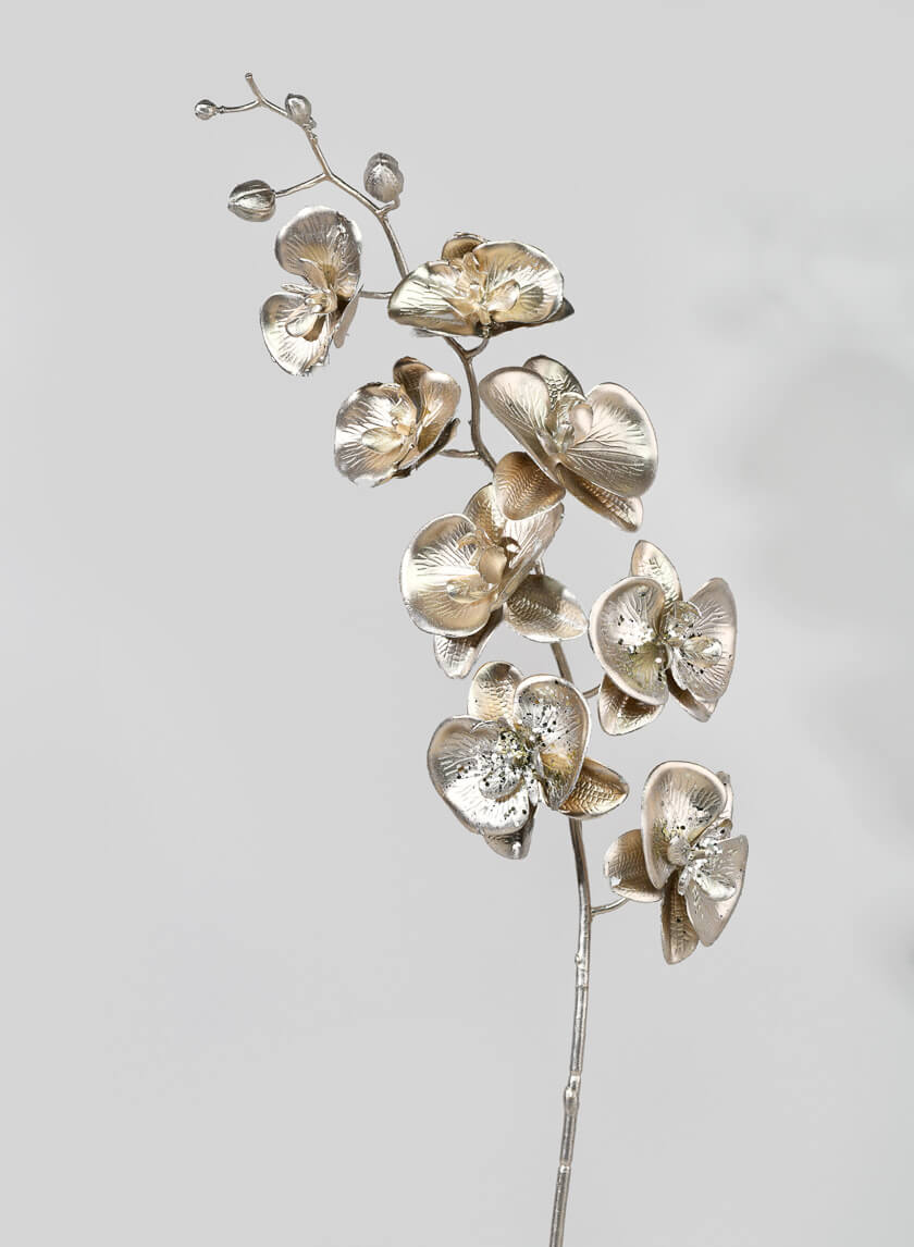 Metallic Champagne Phalaenopsis Orchid Stem, Case of 6 Decor Jamali Garden