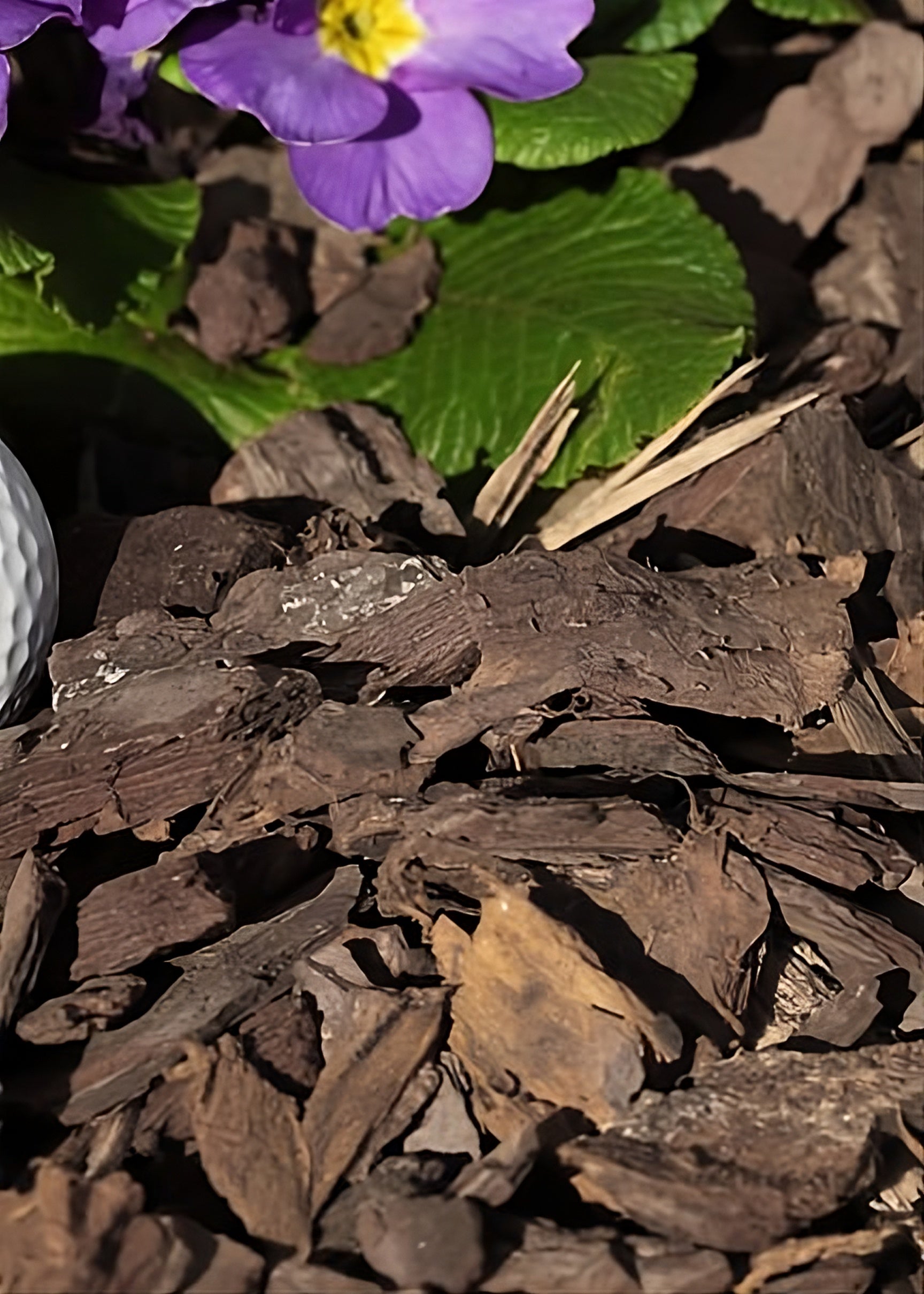 Timberline Pine Bark Nuggets 2cu ft Decor Jamali Garden