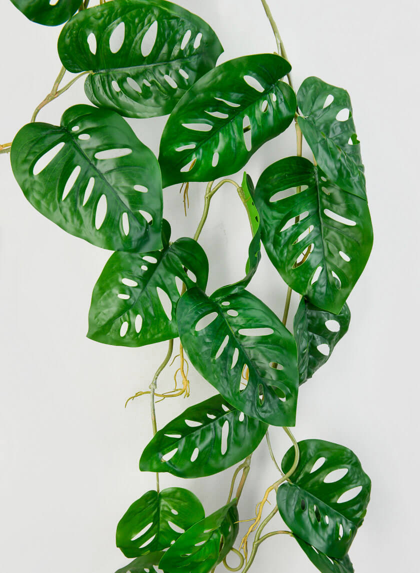 47in Long Swiss Cheese Monstera Leaf Vine Decor Jamali Garden
