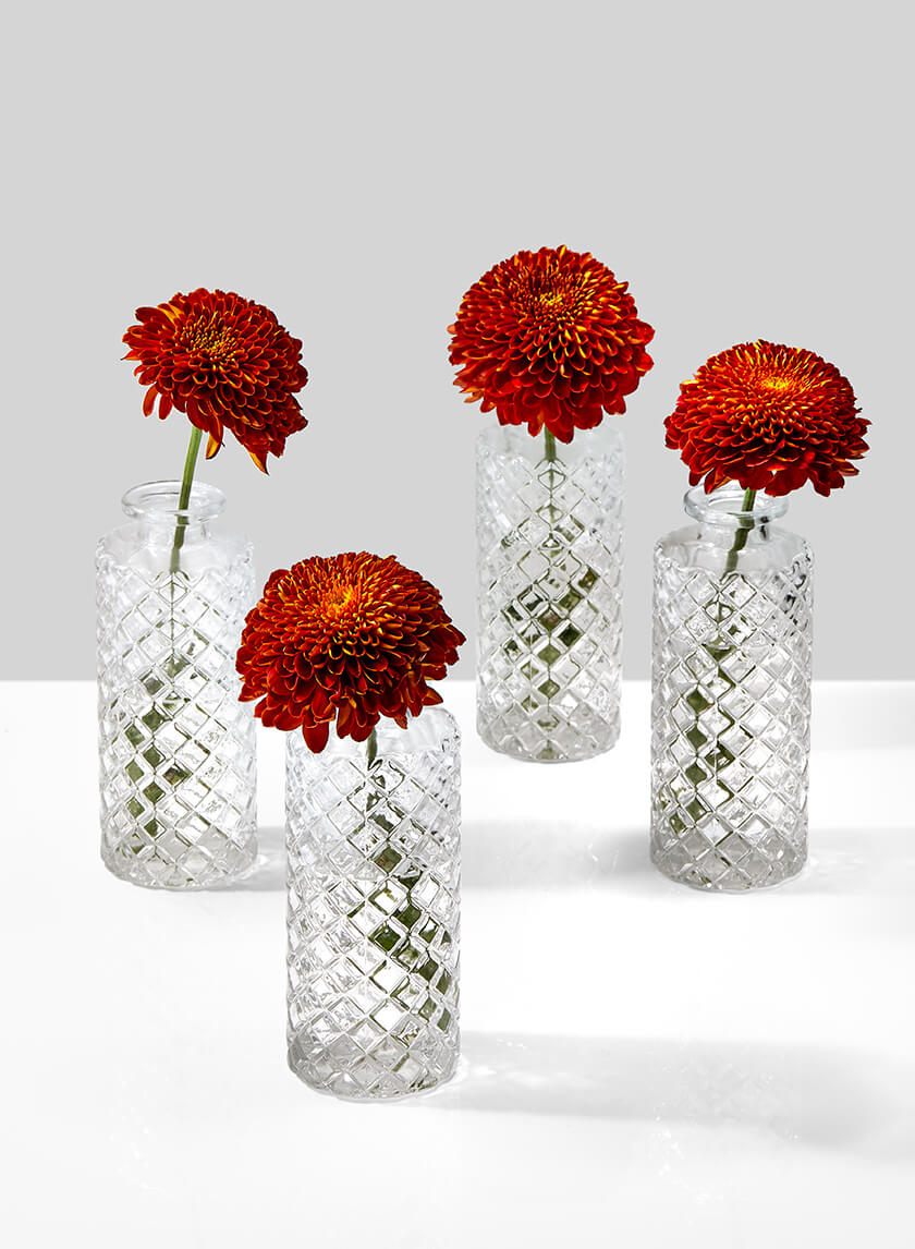 5.25in Tall Diamond Cut Clear Glass Bottle Bud Vase, Set of 4 Decor Jamali Garden