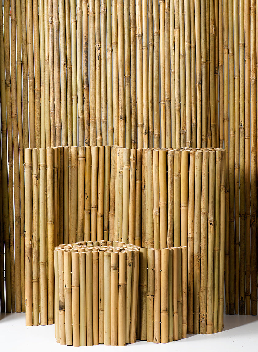 Buy Wired Bamboo Fencing Roll Wholesale | Jamali Garden