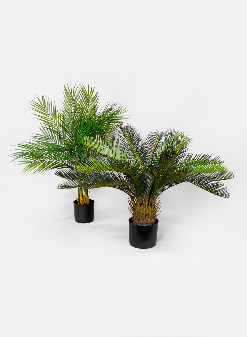 28in Tall Hawaii Kwai Palm Tree Decor Jamali Garden