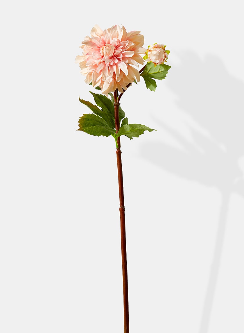 33in Long Peach Dahlia, Case of 12 Decor Jamali Garden