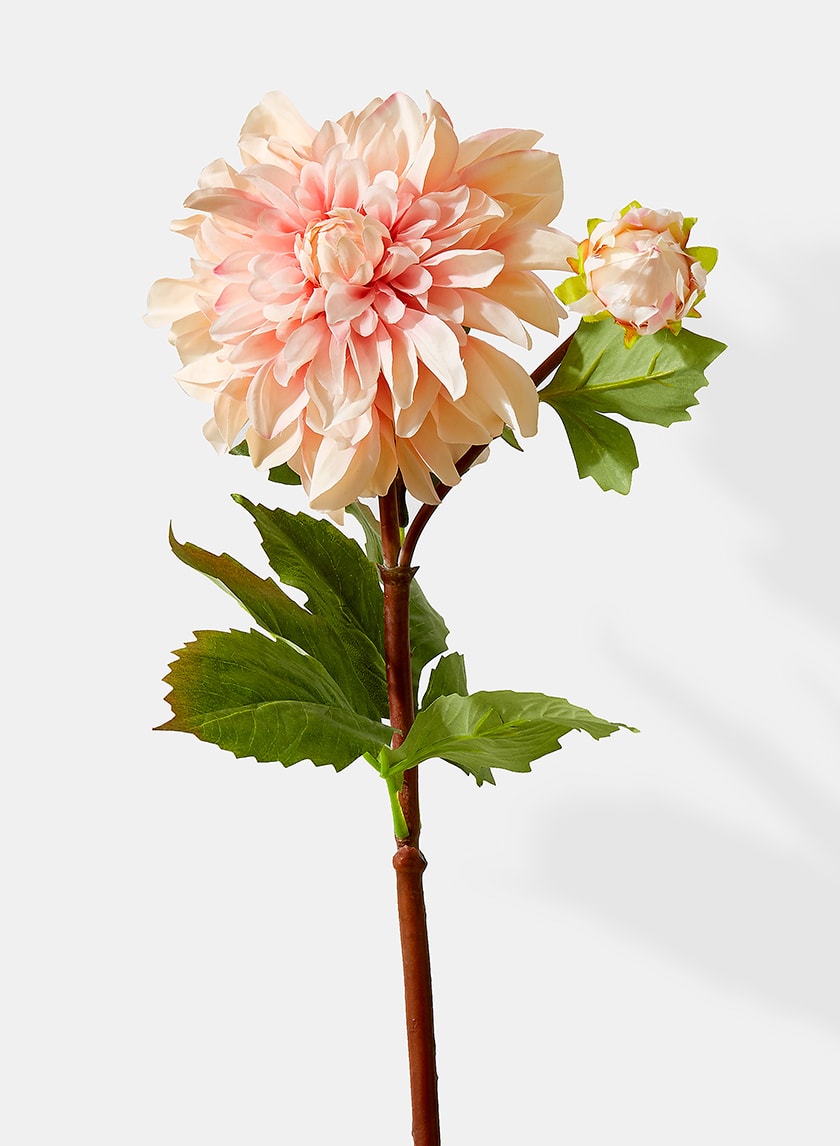 33in Long Peach Dahlia, Case of 12 Decor Jamali Garden