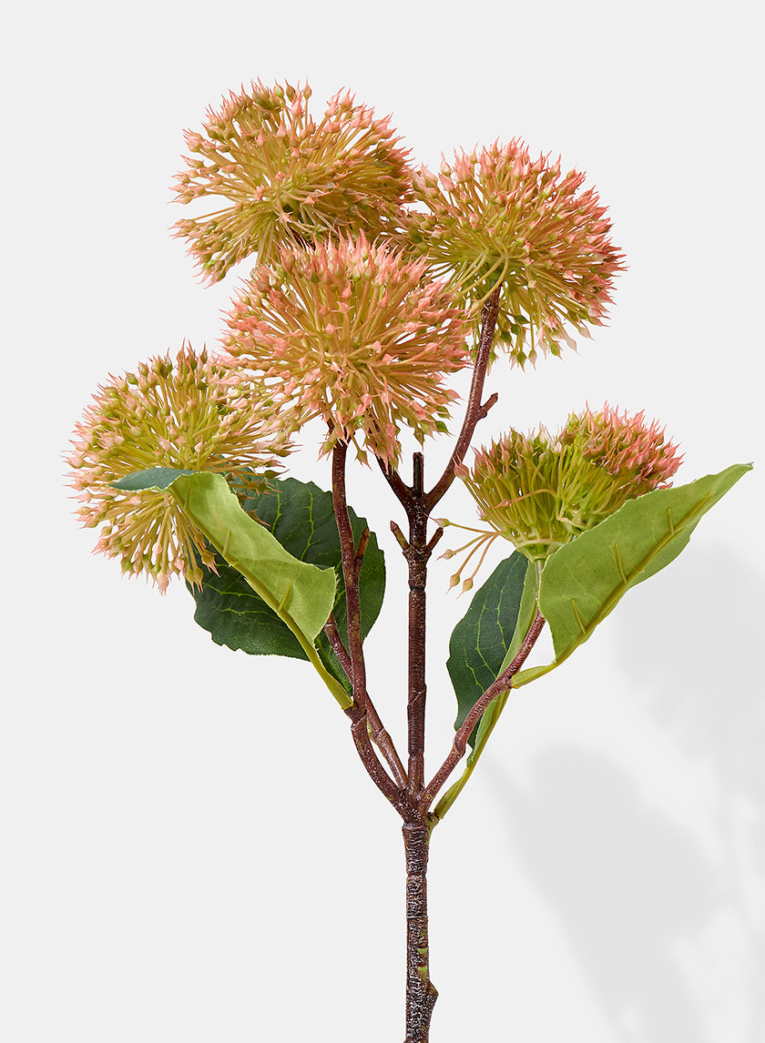 20in Long Pink Dandelion Spray, Case of 12 Decor Jamali Garden