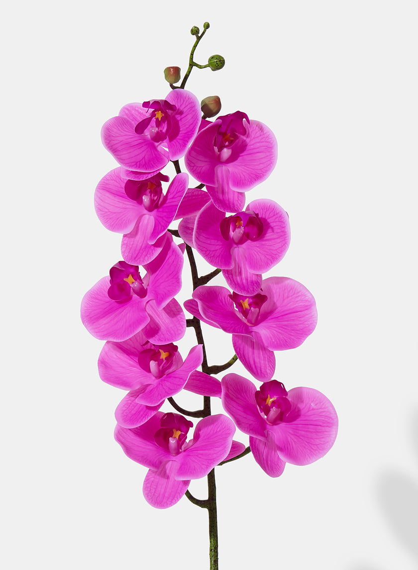 38in Long Pink Phalaenopsis Orchid Decor Jamali Garden