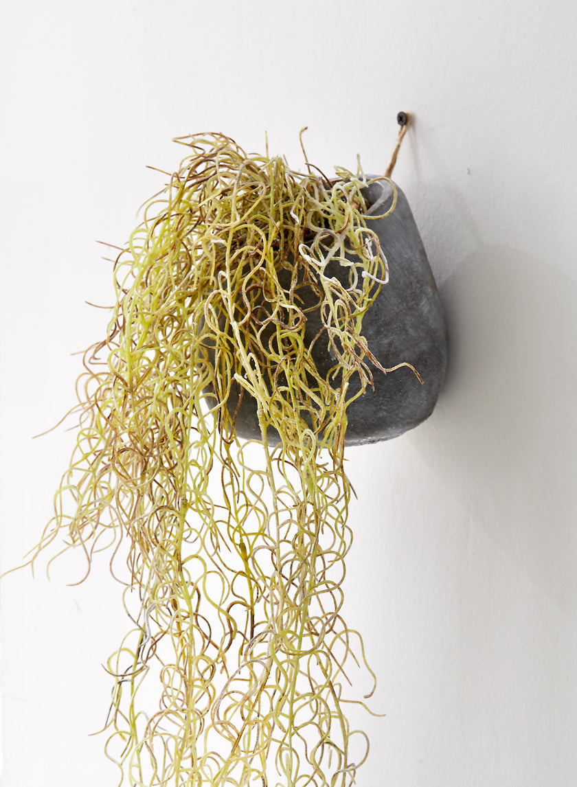36in Tall Flocked Spanish Moss In Wall Pot Decor Jamali Garden