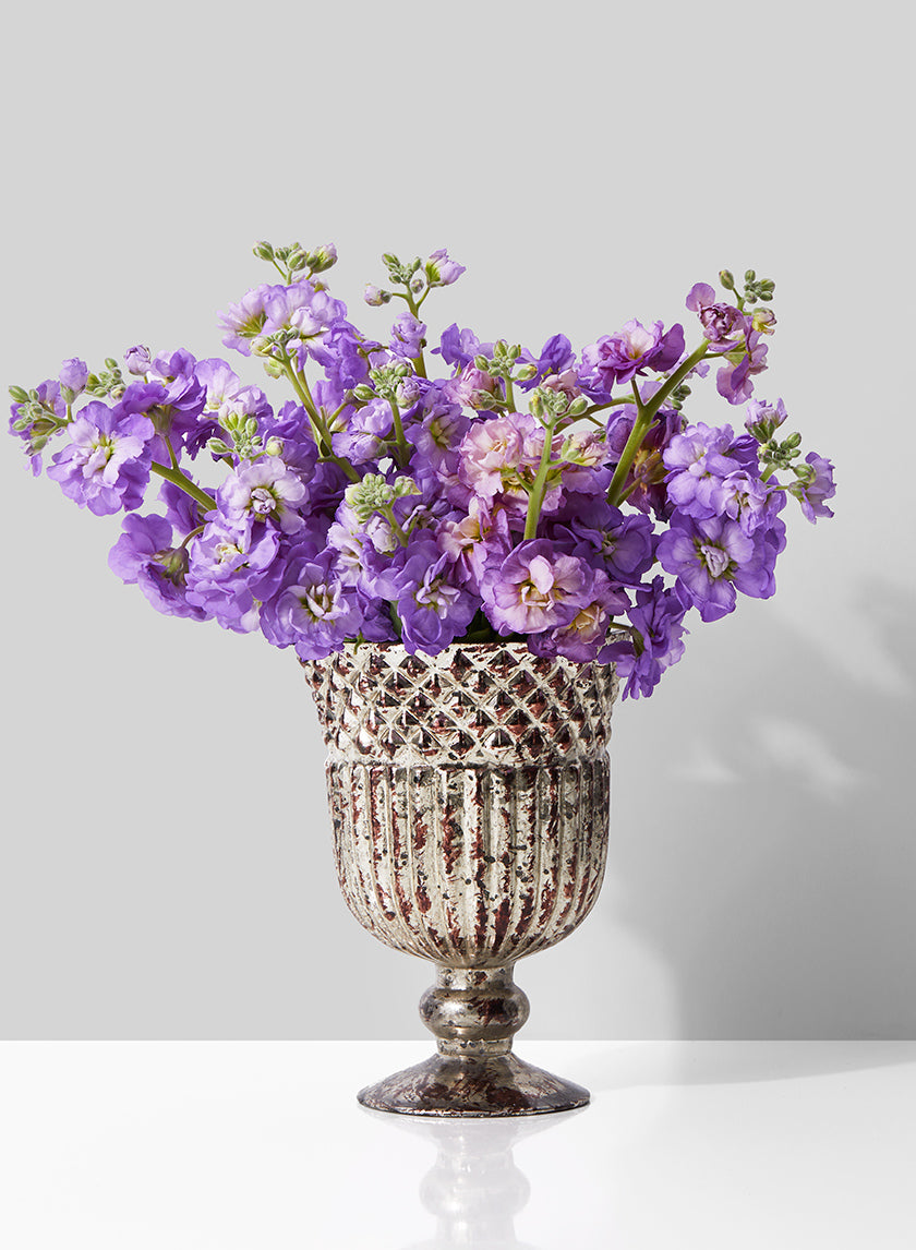 Antique Silver Mercury Glass Pedestal and Compote Vase Decor Jamali Garden