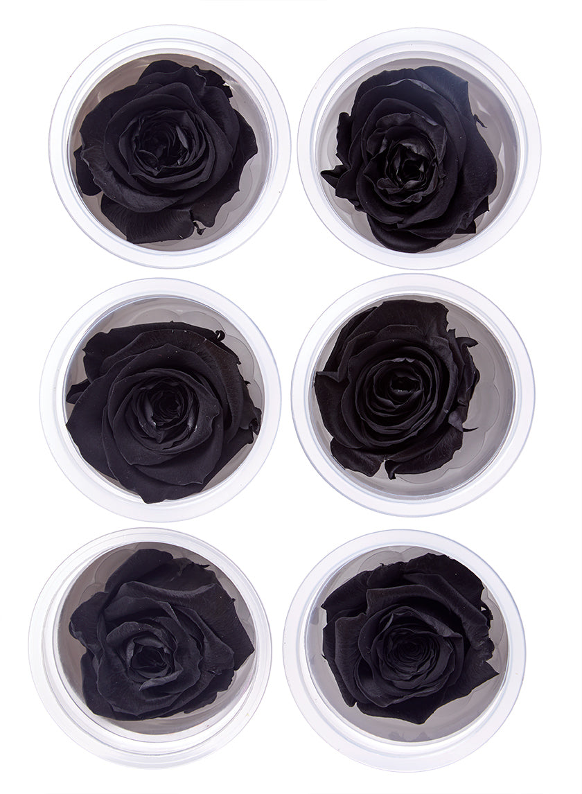 Preserved Luxurious Black Rose, Set of 6 Decor Jamali Garden