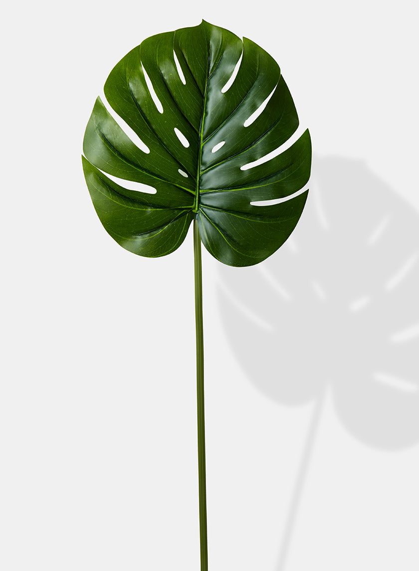 26in Long Real Touch Monstera Leaf, Case of 12 Decor Jamali Garden