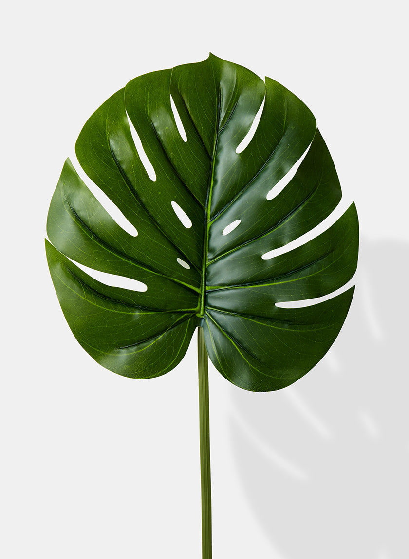 26in Long Real Touch Monstera Leaf, Case of 12 Decor Jamali Garden