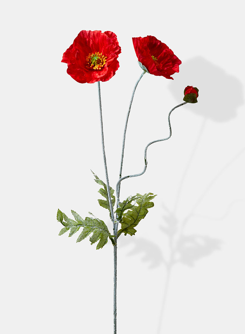 27in Long Poppy, Case of 12 Decor Jamali Garden