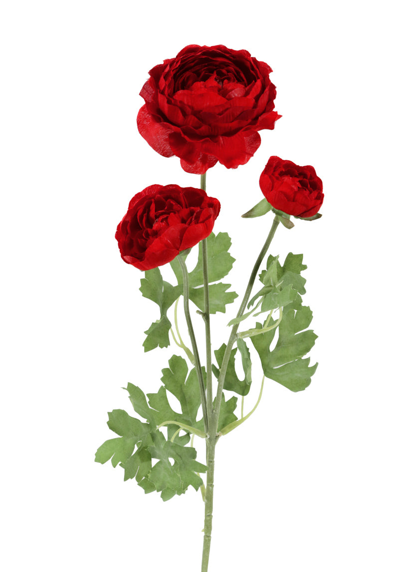 24in Long Red Ranunculus Spray, Case of 12 Decor Jamali Garden