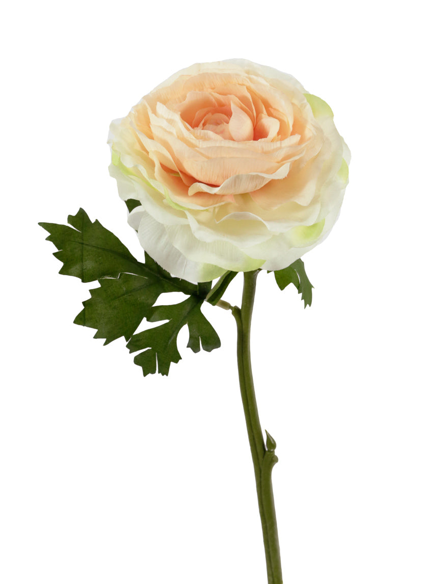 21in Long Peach Ranunculus, Case of 12 Decor Jamali Garden
