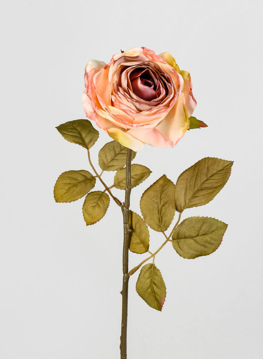 26.5in Long Peach Single Tea Rose Spray, Case of 12 Decor Jamali Garden