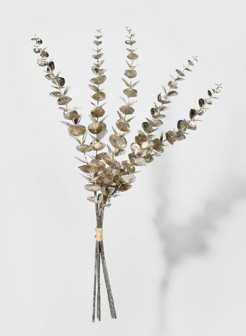 26in Long Champagne Eucalyptus Pick Decor Jamali Garden