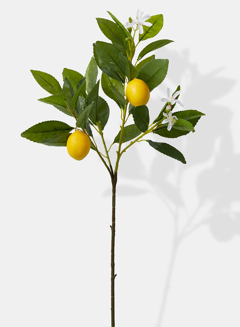 23in Long Baby Lemon Tree Pick, Case of 12 Decor Jamali Garden