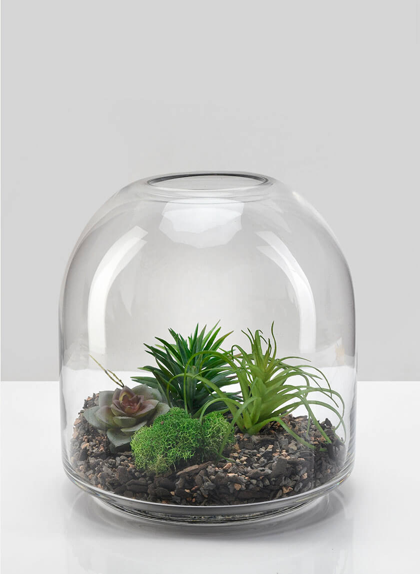 7.75in Tall Victoria Glass Terrarium, Small Decor Jamali Garden