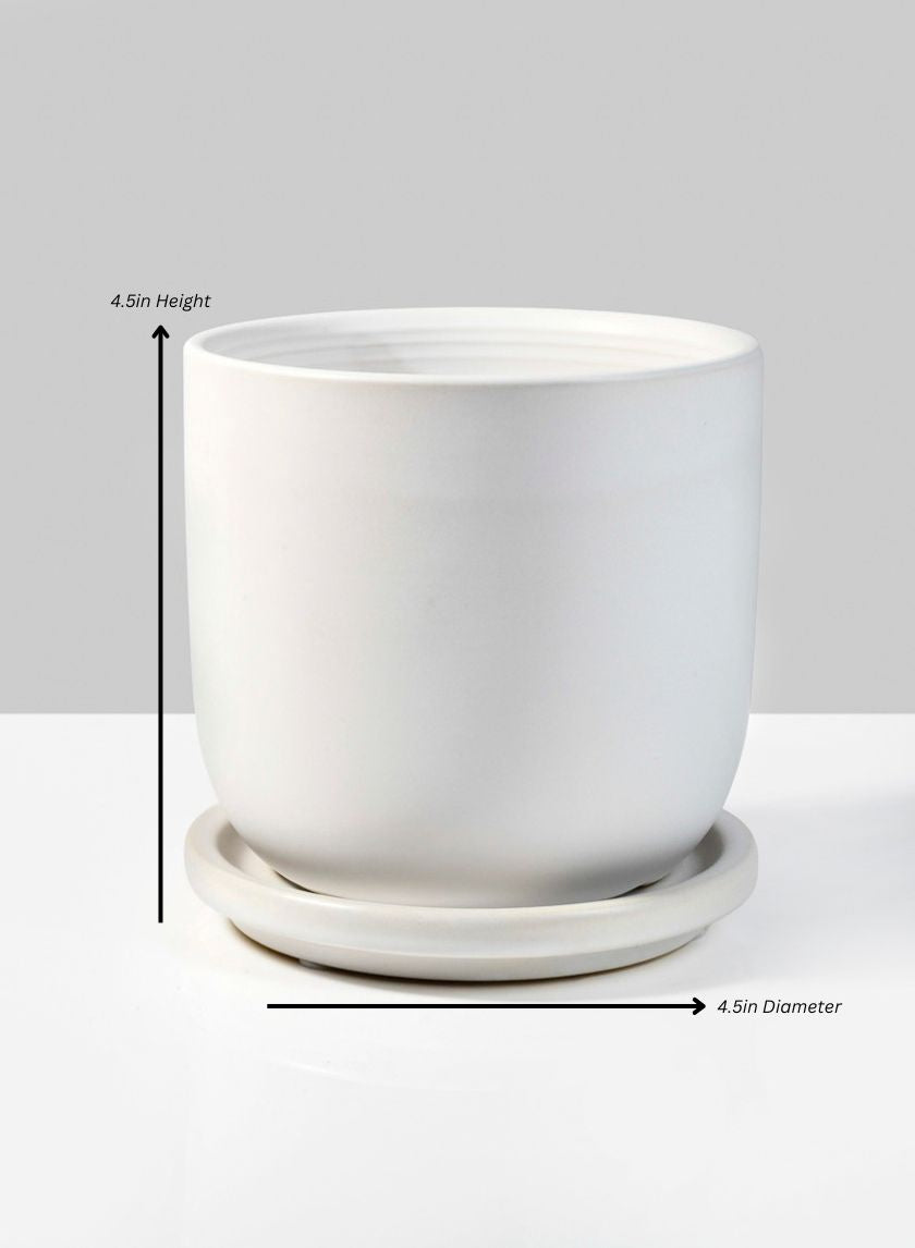 Marble Aeon Ceramic Pot & Saucer Decor Jamali Garden White 4.5in Height - 4.5in Diameter EACH