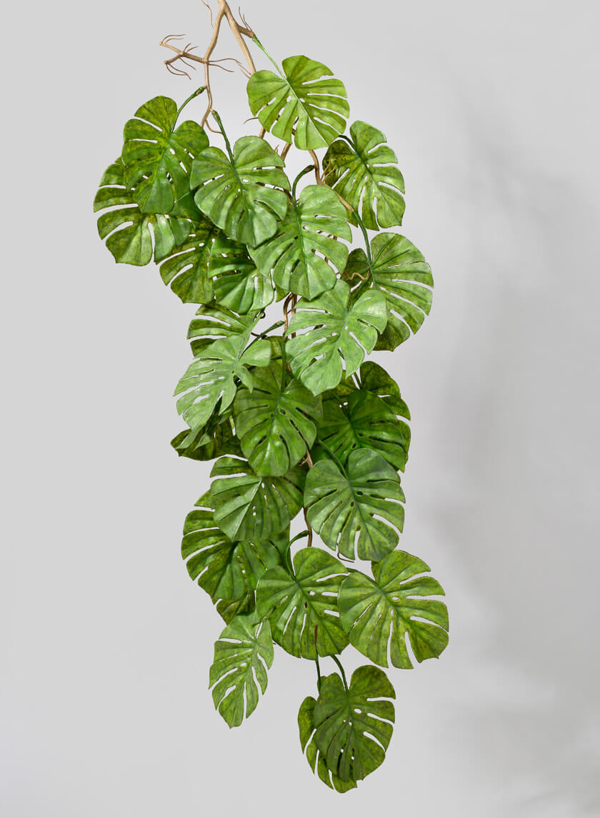38in Long Split Leaf Philodendron Garland, Case of 12 Decor Jamali Garden